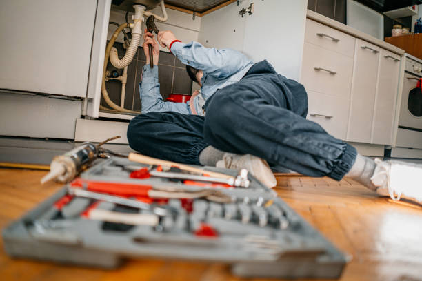 Best Affordable Plumber Near Me  in Big Rapids, MI